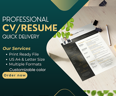 Professional Resume and CV Design Services by Resume Designer